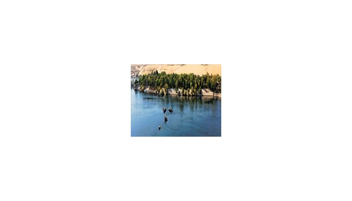 Movenpick Resort Aswan poza 5