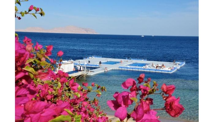 Hotel Domina Coral Bay Elisir poza 19