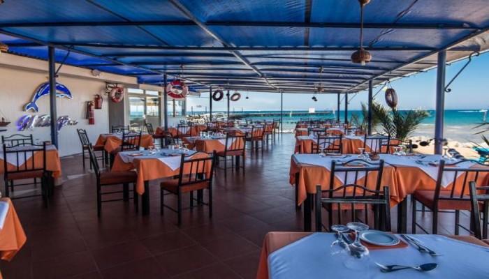 Desert Rose Resort poza 4