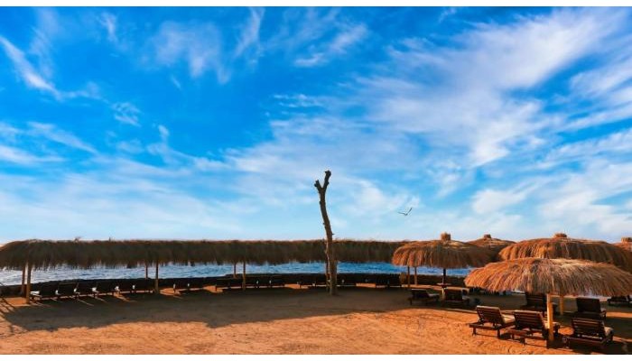 Eagles Downtown Zahabia & Beach Resort poza 8