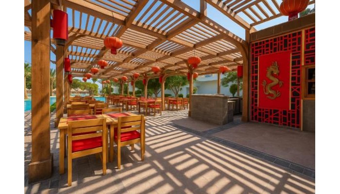 Hotel Jaz Palmariva Beach poza 13