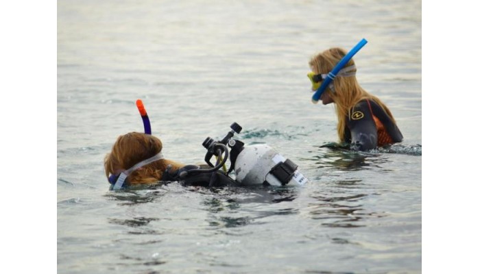 Hotel Novotel Marsa Alam poza 26