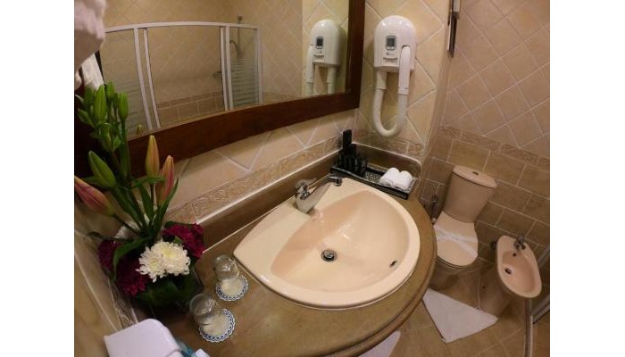 Hotel Oriental Rivoli poza 11