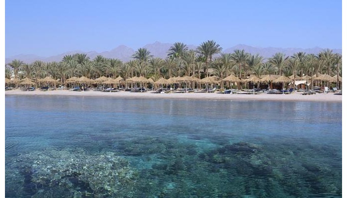 Hotel Jaz Sharm Dreams poza 5