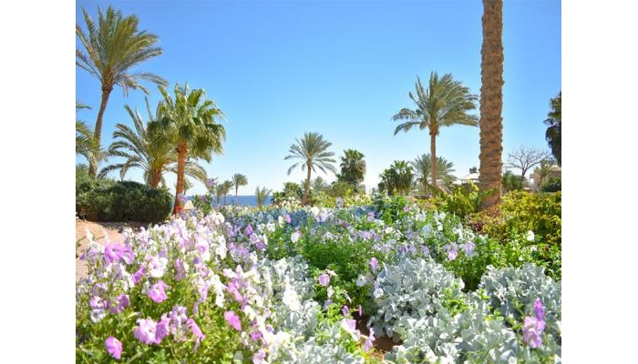 Parrotel Beach Resort poza 8