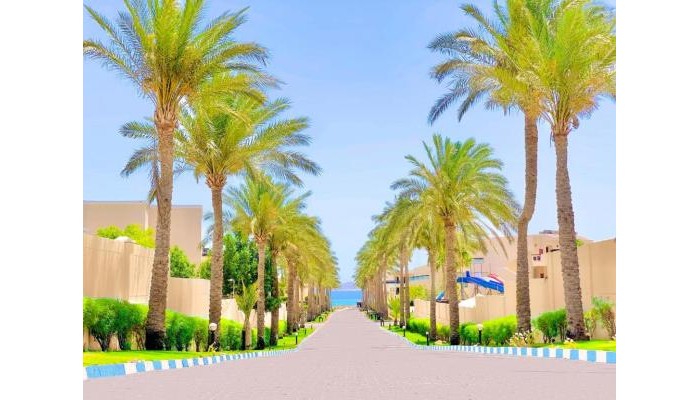 Ivy Cyrene Island Aqua Park Resort poza 30