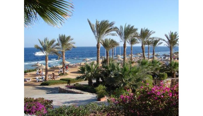 Queen Sharm Resort poza 24