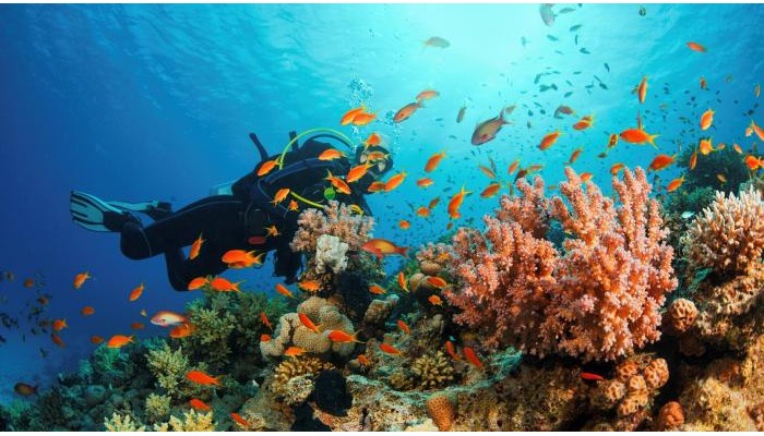 Kempinski Hotel Soma Bay poza 33